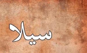 زخرفة اسم سيلا