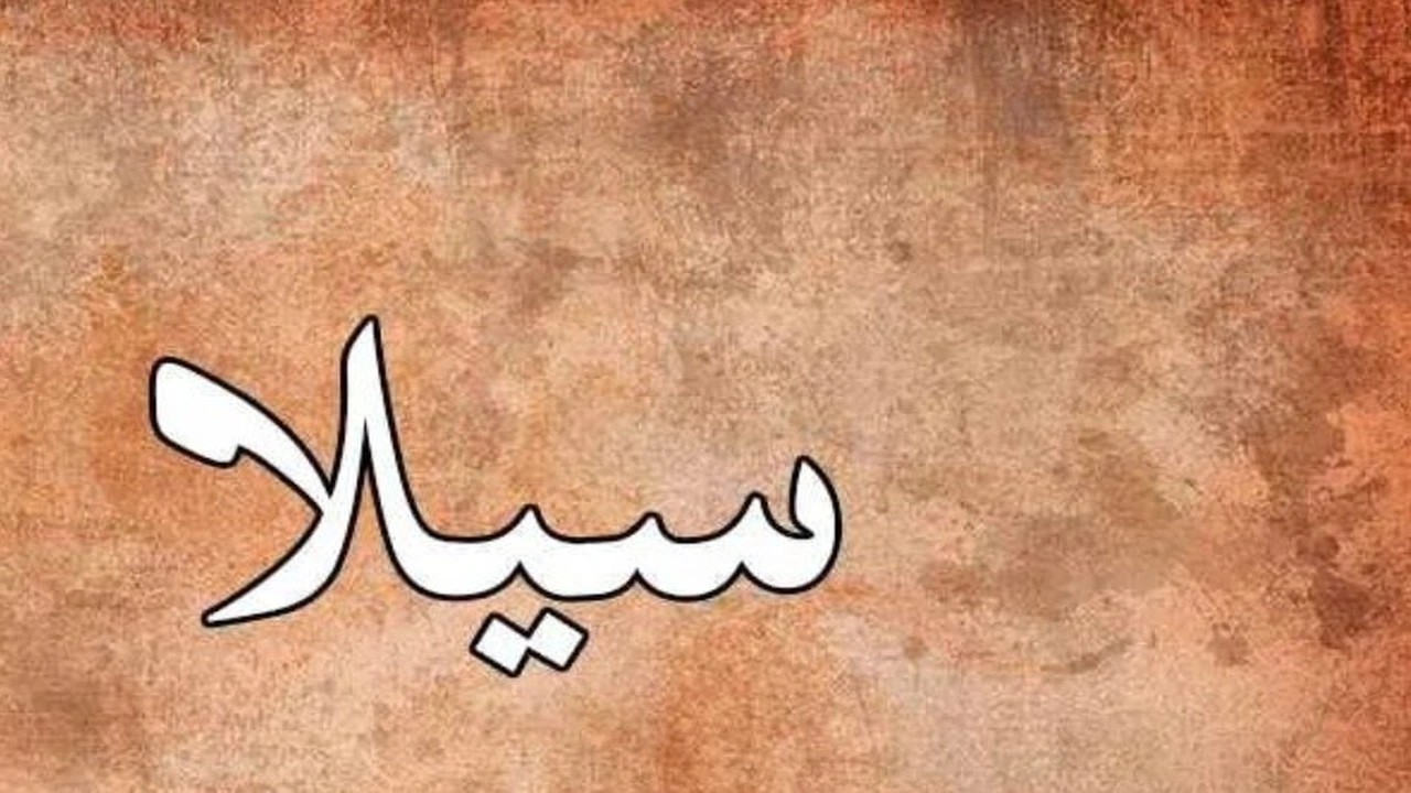 صورة زخرفة اسم سيلا