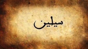 زخرفة اسم سيلين