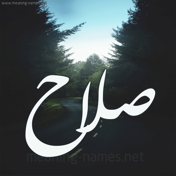 زخرفة اسم صلاح الدين