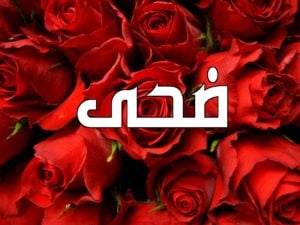 زخرفة اسم ضحى