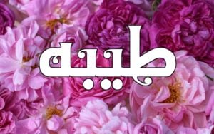 زخرفة اسم طيبة
