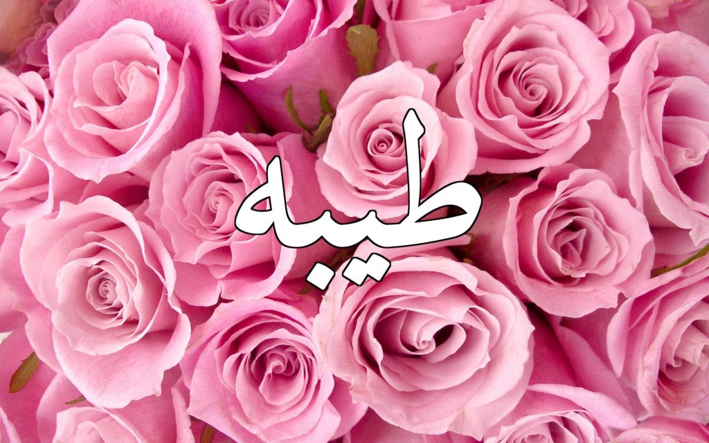 زخرفة اسم طيبة