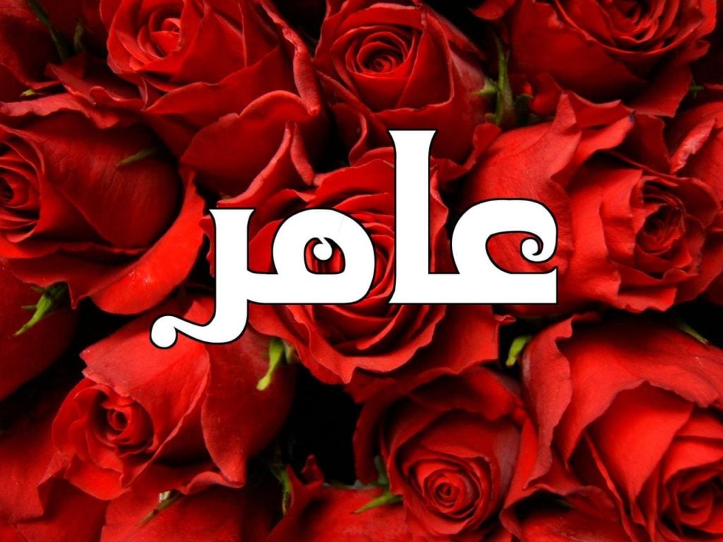 زخرفة اسم عامر