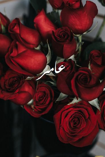 زخرفة اسم عامر