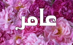 زخرفة اسم عامر