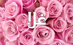 زخرفة اسم غلا