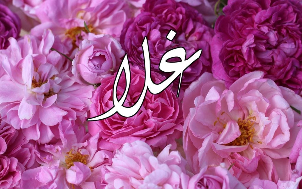 زخرفة اسم غلا