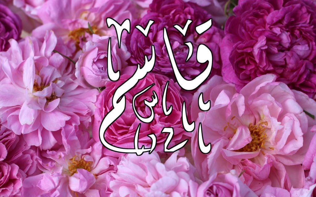 زخرفة اسم قاسم