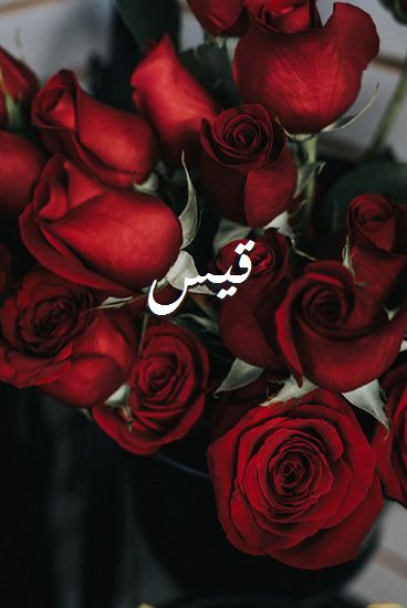 زخرفة اسم قيس