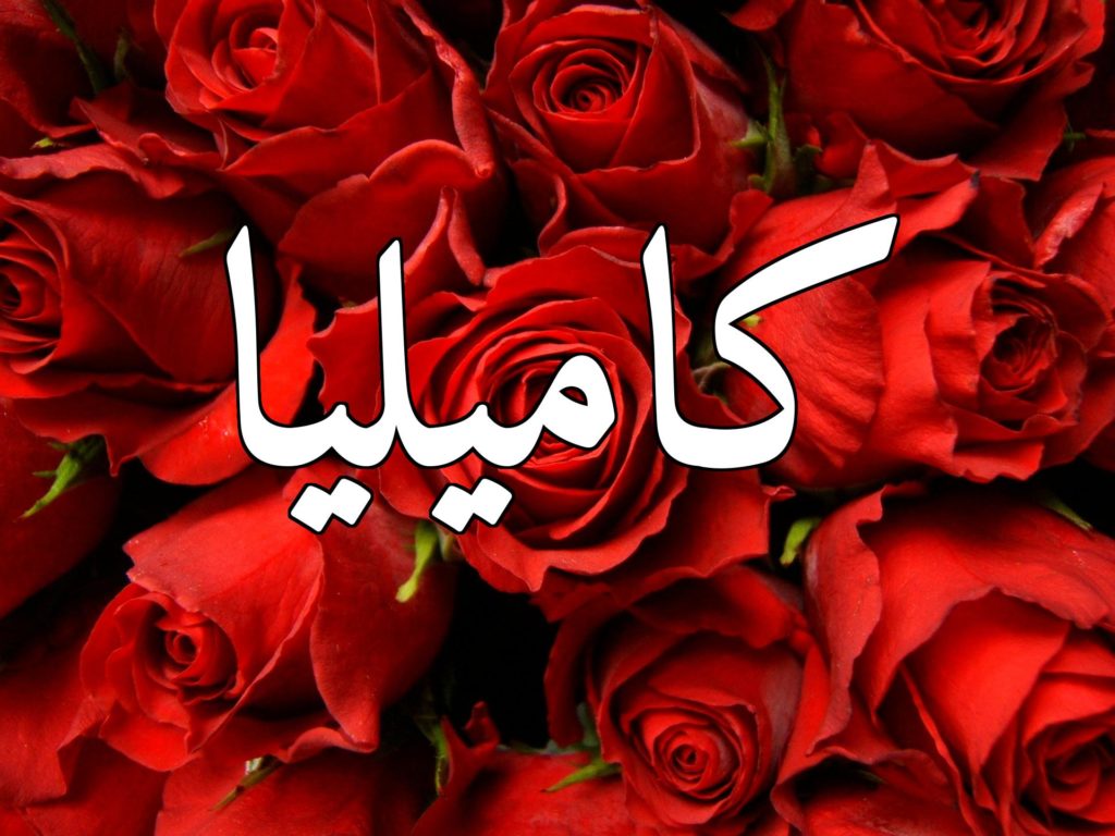 زخرفة اسم كاميليا