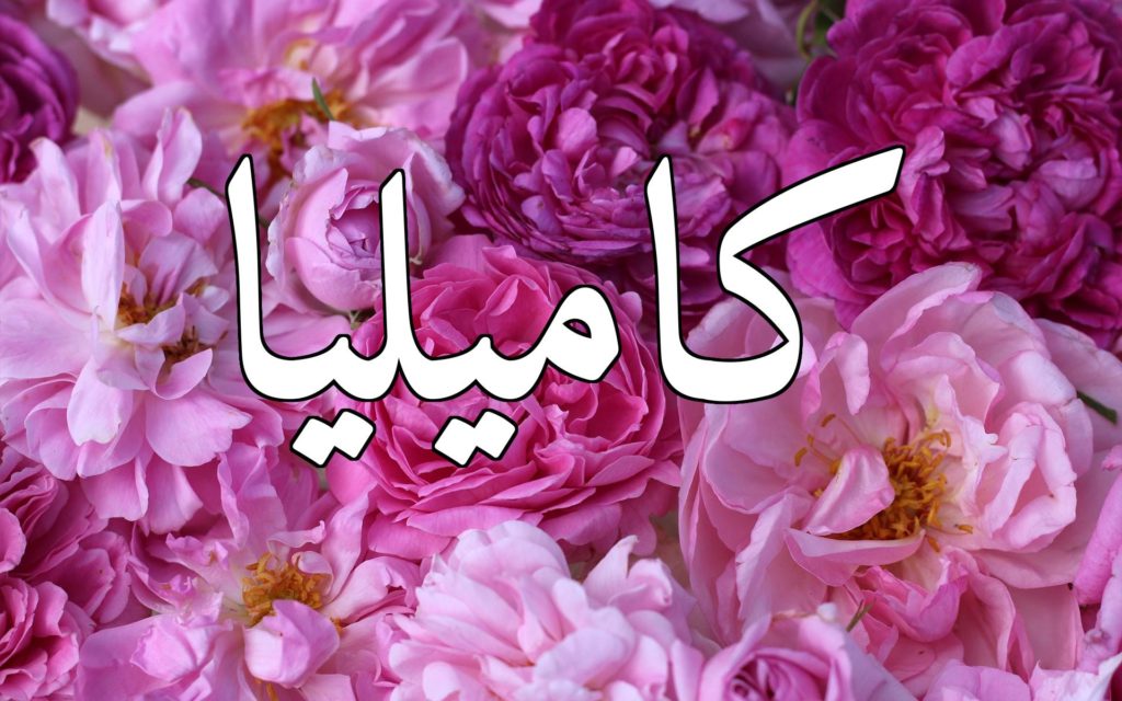 زخرفة اسم كاميليا