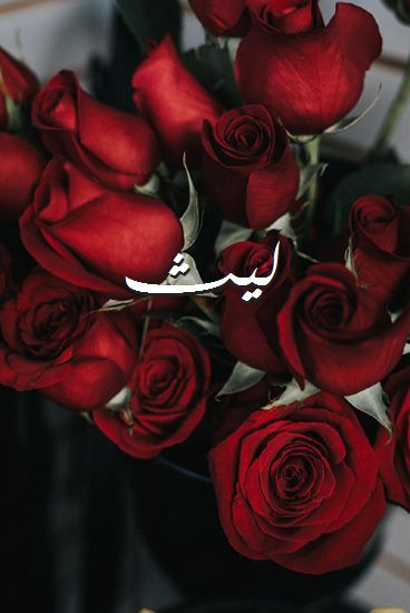 زخرفة اسم ليث