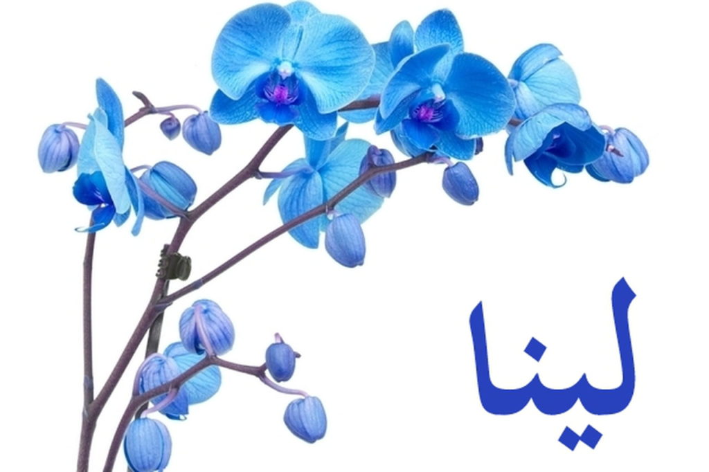 زخرفة اسم لينا بالانجليزي