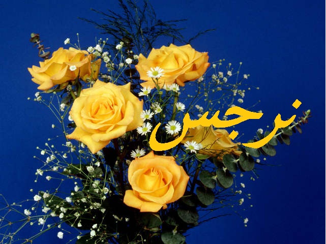 زخرفة اسم نرجس