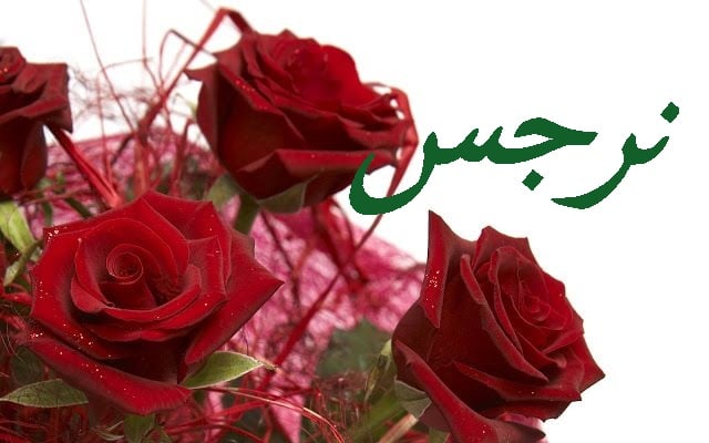 زخرفة اسم نرجس