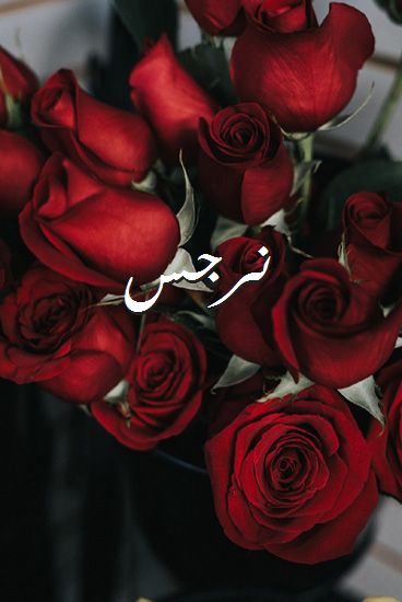 زخرفة اسم نرجس