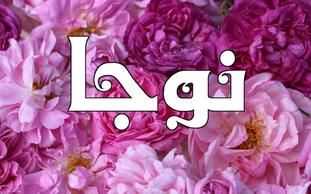 زخرفة اسم نرجس