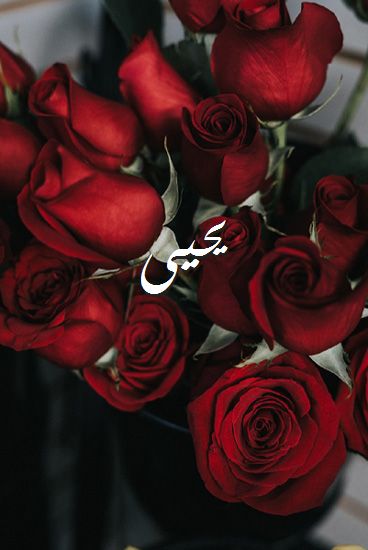 زخرفة اسم يحيى