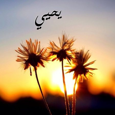 زخرفة اسم يحيى