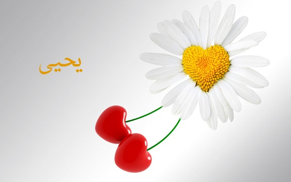 زخرفة اسم يحيى