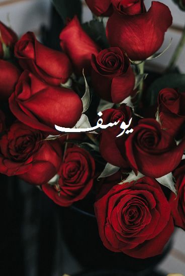 زخرفة اسم يوسف