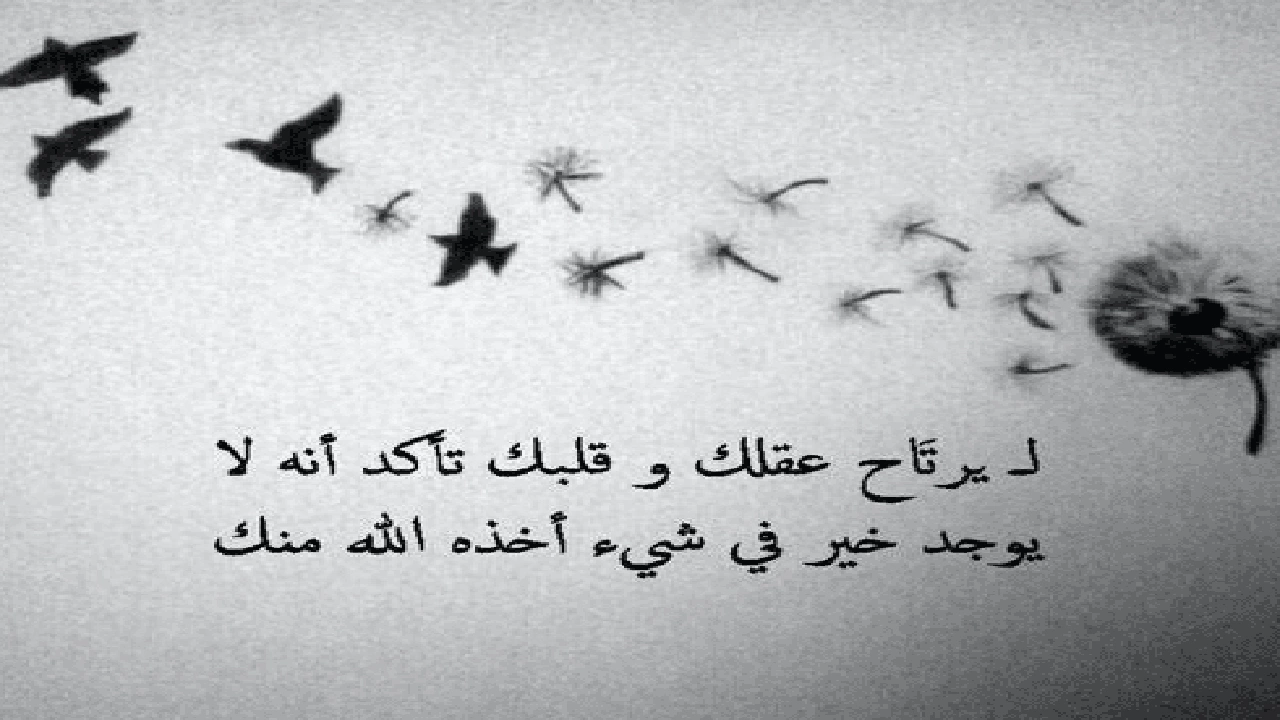 صورة ستوري انستا حلو