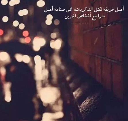 ستوري انستا حلو