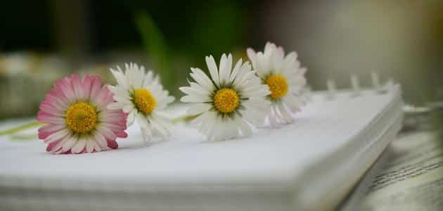 سيرة ذاتية عن موقف مفرح أو محزن