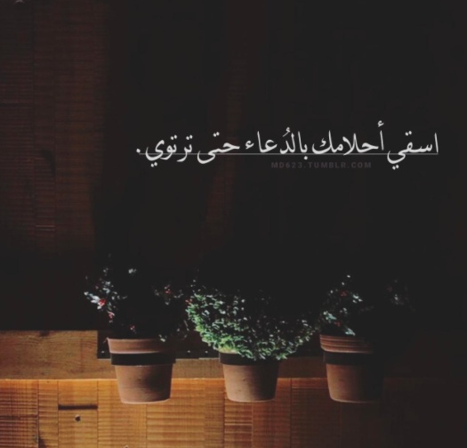 سيرة ذاتية للانستا