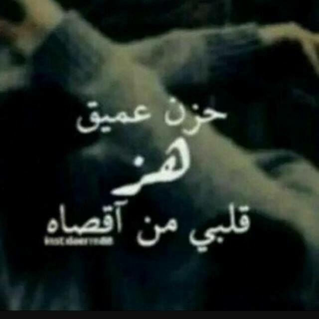 سيرة ذاتية للانستا