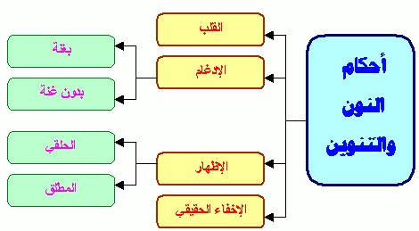 شرح أحكام النون الساكنة والتنوين للاطفال