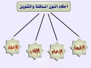 شرح أحكام النون الساكنة والتنوين للاطفال