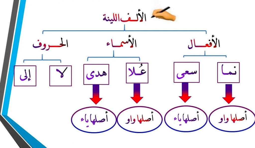 شرح الألف اللينة للاطفال
