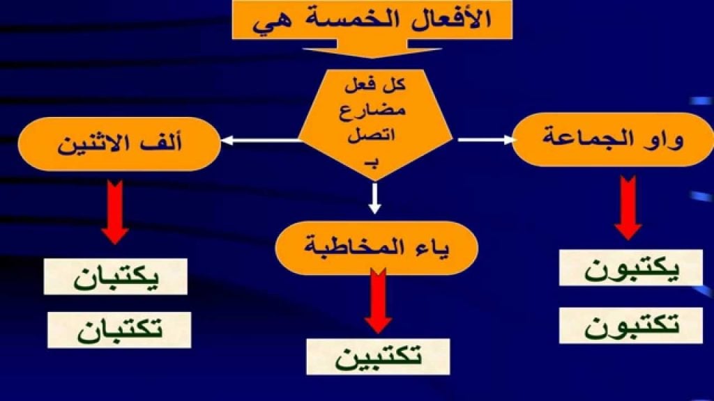 شرح درس الافعال الخمسة