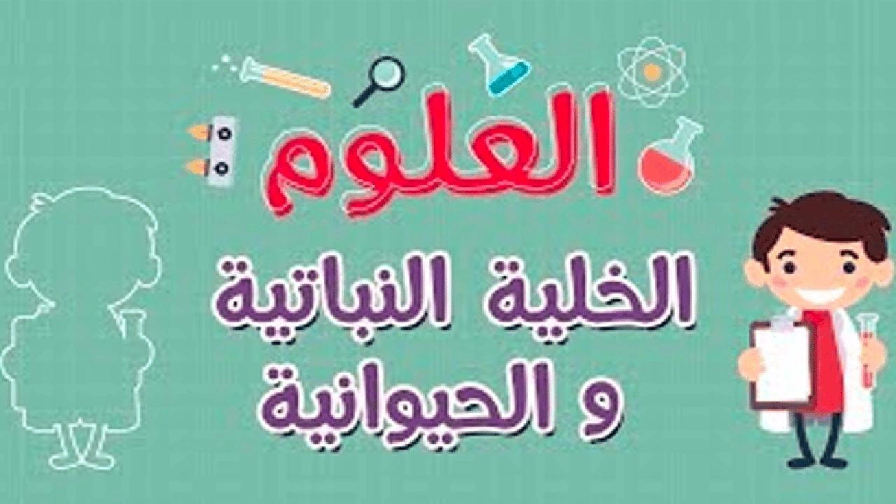 صورة شرح درس الخلية النباتية والحيوانية