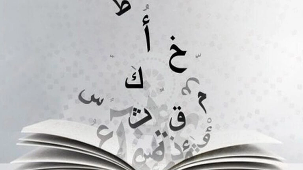 صورة شرح درس الضمائر في اللغة العربية