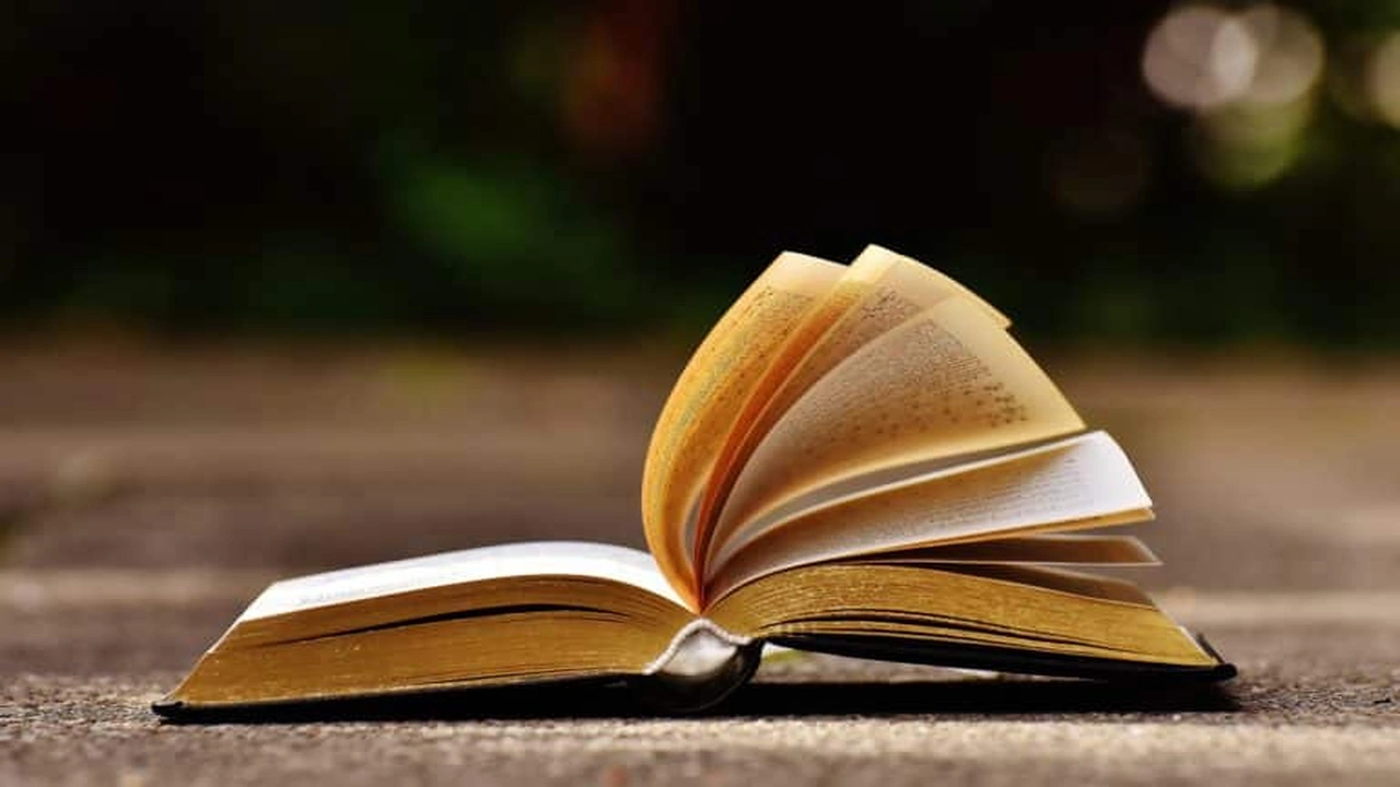 صورة شرح قصيدة دع عنك لومي