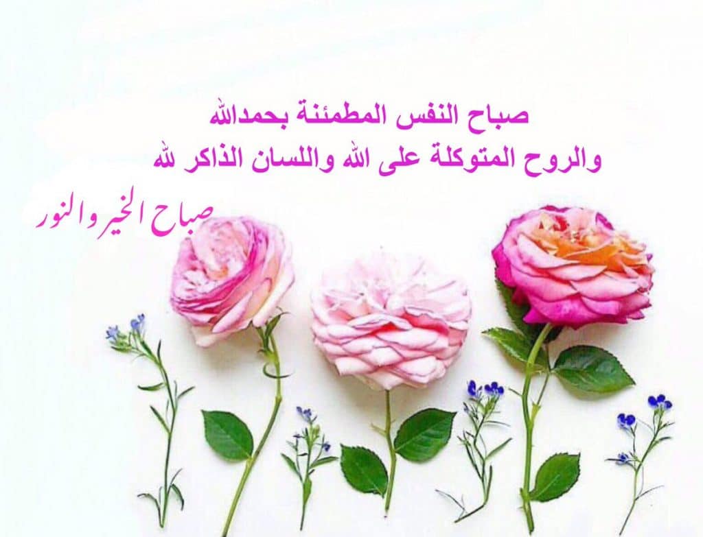 شعر ألا بذكر الله تطمئن القلوب