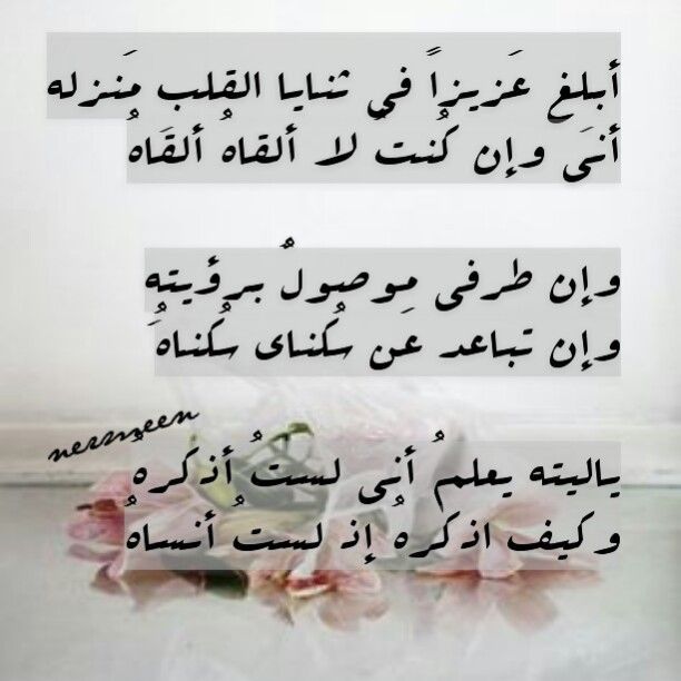 شعر الامام علي عن الصديق