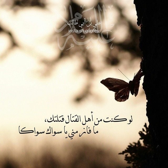 شعر الامام علي في السواك