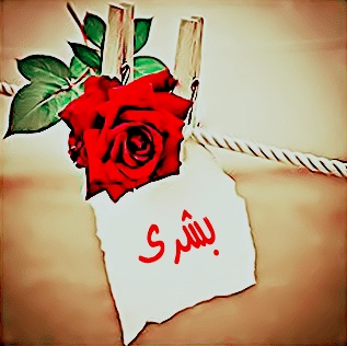 شعر باسم بشرى