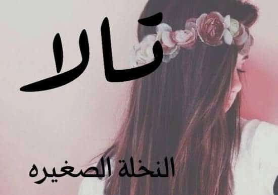 شعر باسم تالا