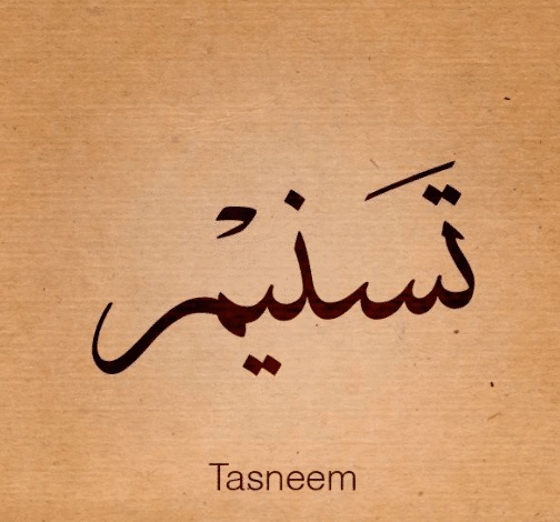 شعر باسم تسنيم