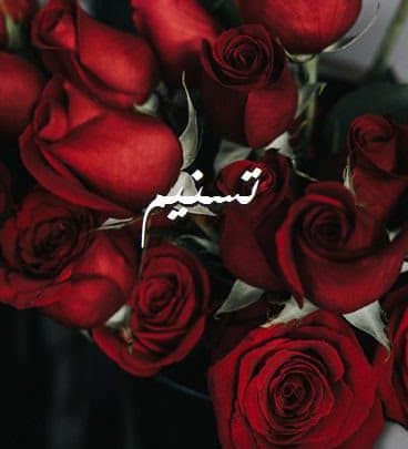 شعر باسم تسنيم