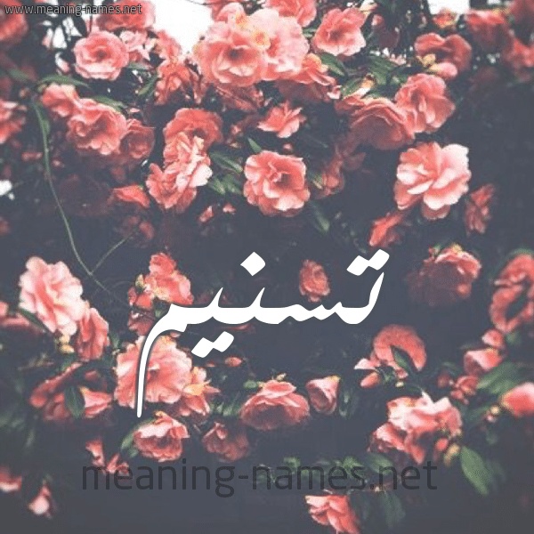 شعر باسم تسنيم