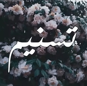 شعر باسم تسنيم