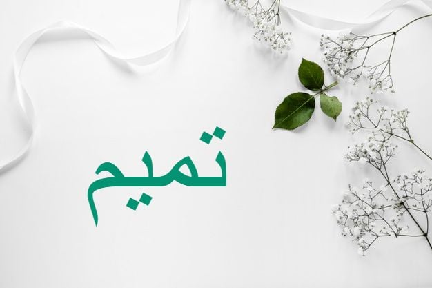 شعر باسم تميم