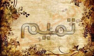 شعر باسم تميم