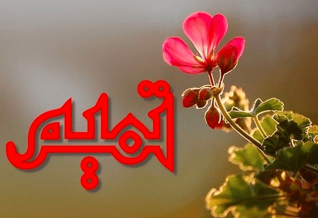 شعر باسم تميم